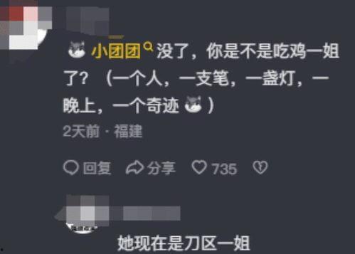 圈内人爆料小团团复播是真的吗,圈内人爆料，真相即将揭晓？  第3张