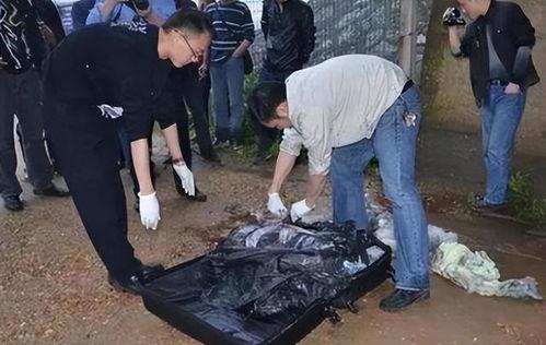 南京碎尸案爆料视频播放,视频播放揭示惊人真相  第1张