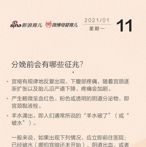 金莎最新爆料新闻事件视频,揭秘娱乐圈惊人内幕！  第3张